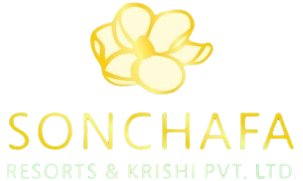 Sonchafa
